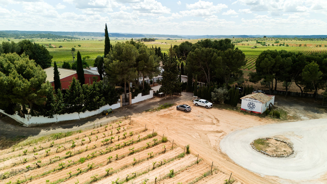 The Viña de Eufemia estate from the air, with vineyard rows in front and the Utiel-Requena plateau behind