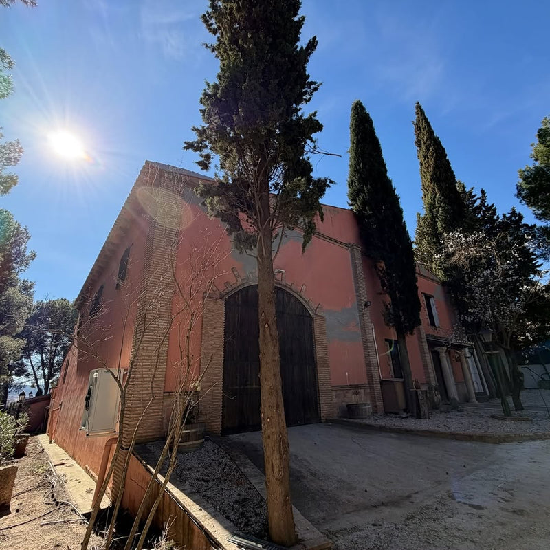 Bodega Viña de Eufemia exterior with Mediterranean cypress trees and blue sky in Requena, Valencia
