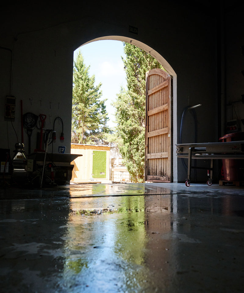 Wine tasting experience at Viña de Eufemia bodega with natural wines from Utiel-Requena
